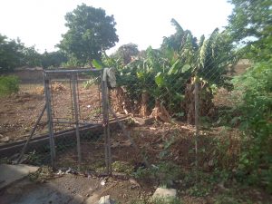 IMG-20200513-WA0012